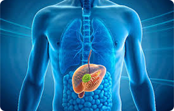 Hepato-pancreato-biliary